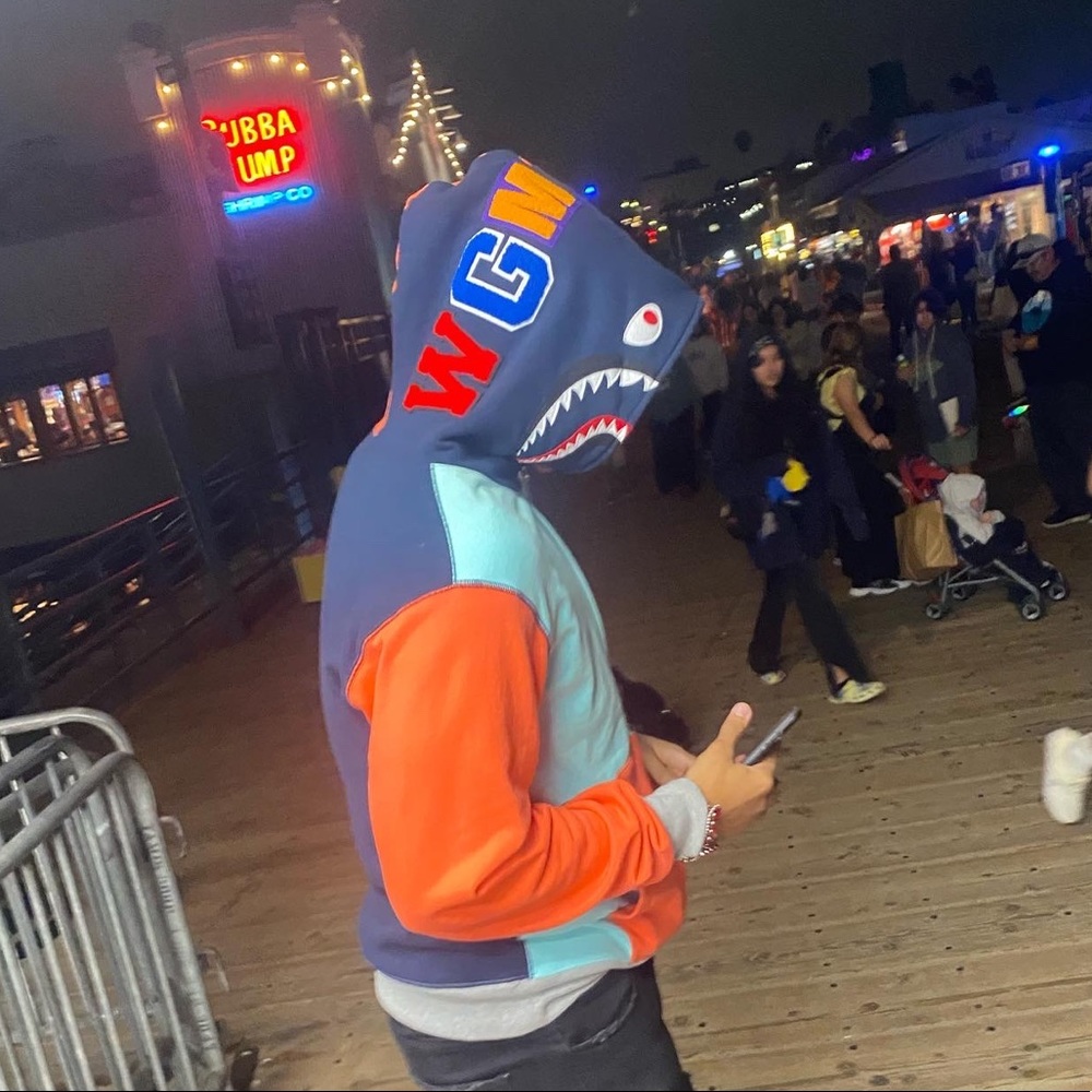 Bathing ape hoodie (bape) from cool kicks